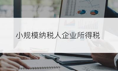 小规模纳税人企业所得税