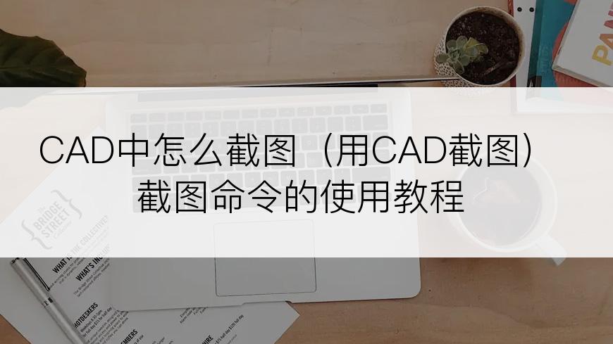 CAD中怎么截图（用CAD截图）截图命令的使用教程