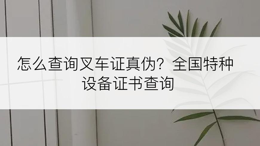 怎么查询叉车证真伪？全国特种设备证书查询