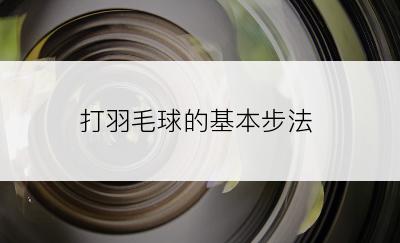 打羽毛球的基本步法