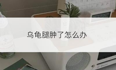 乌龟腿肿了怎么办