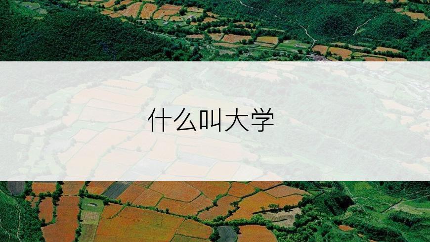什么叫大学
