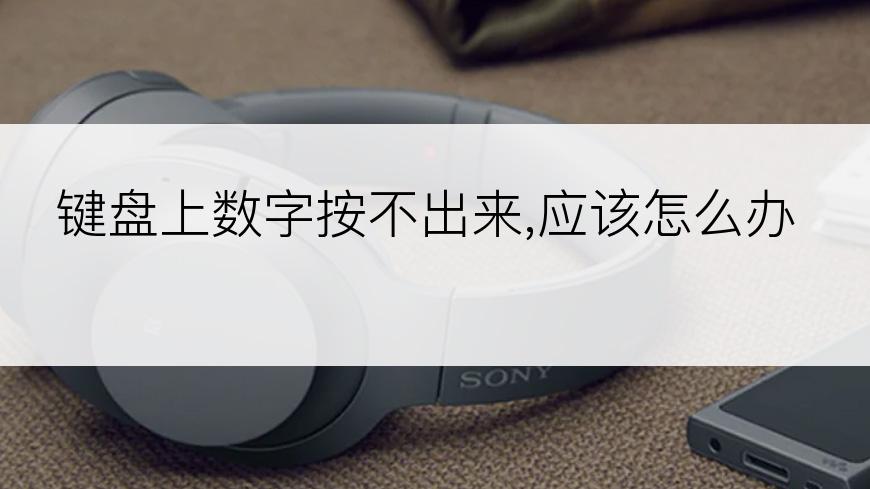 键盘上数字按不出来,应该怎么办