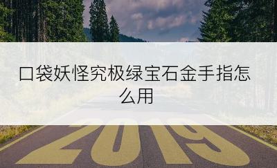 口袋妖怪究极绿宝石金手指怎么用