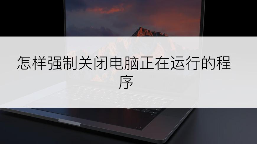 怎样强制关闭电脑正在运行的程序