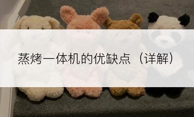 蒸烤一体机的优缺点（详解）