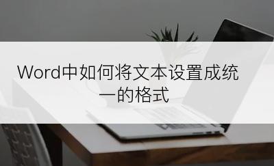 Word中如何将文本设置成统一的格式