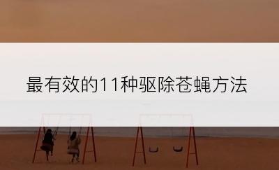 最有效的11种驱除苍蝇方法