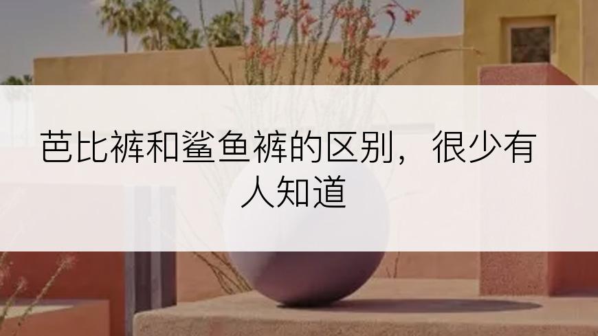 芭比裤和鲨鱼裤的区别，很少有人知道