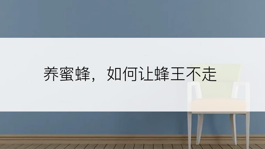 养蜜蜂，如何让蜂王不走