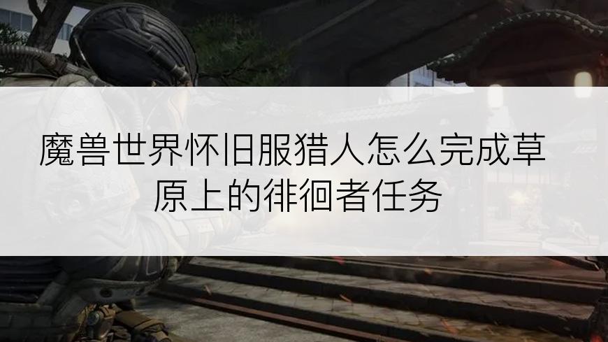 魔兽世界怀旧服猎人怎么完成草原上的徘徊者任务
