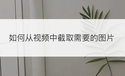 如何从视频中截取需要的图片