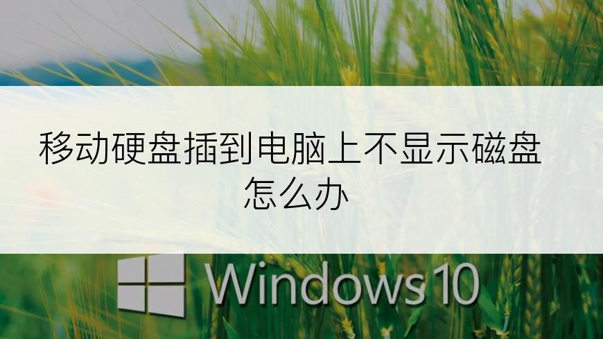 移动硬盘插到电脑上不显示磁盘怎么办