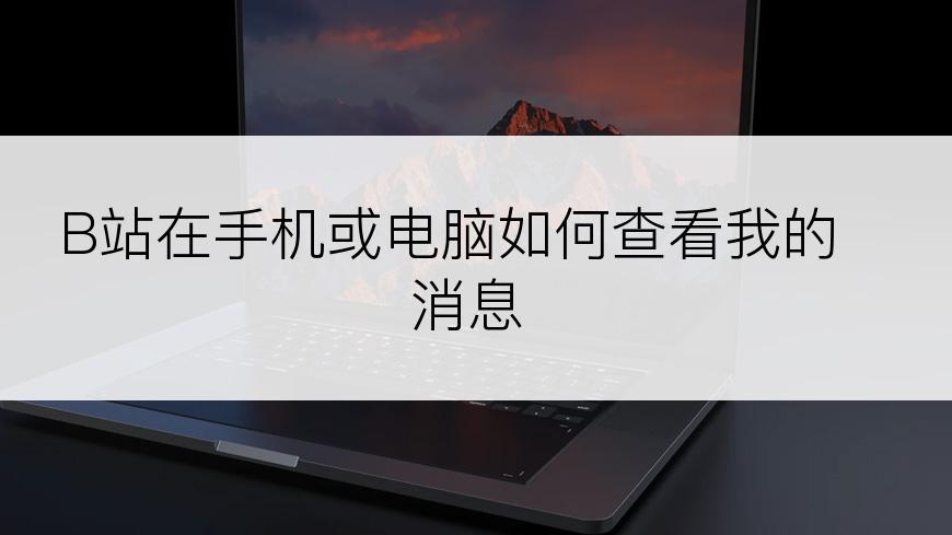 B站在手机或电脑如何查看我的消息