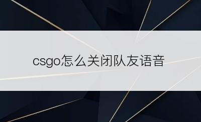 csgo怎么关闭队友语音