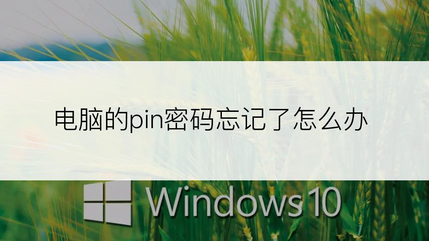 电脑的pin密码忘记了怎么办