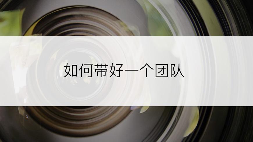 如何带好一个团队