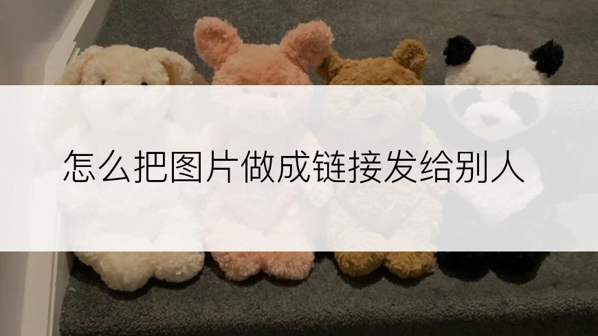 怎么把图片做成链接发给别人