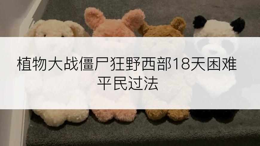 植物大战僵尸狂野西部18天困难平民过法