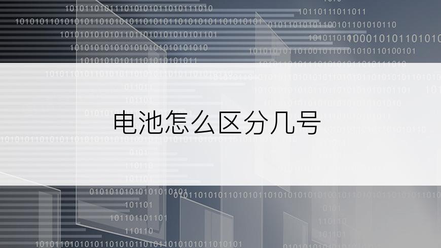 电池怎么区分几号