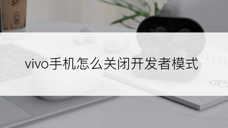 vivo手机怎么关闭开发者模式