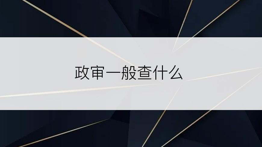 政审一般查什么