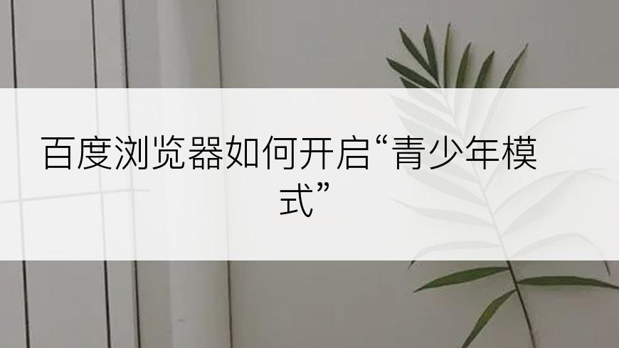 百度浏览器如何开启“青少年模式”