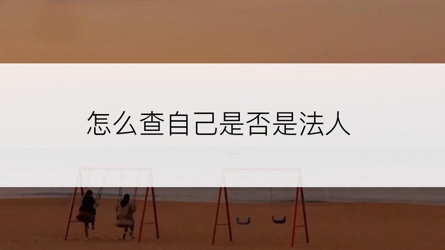 怎么查自己是否是法人