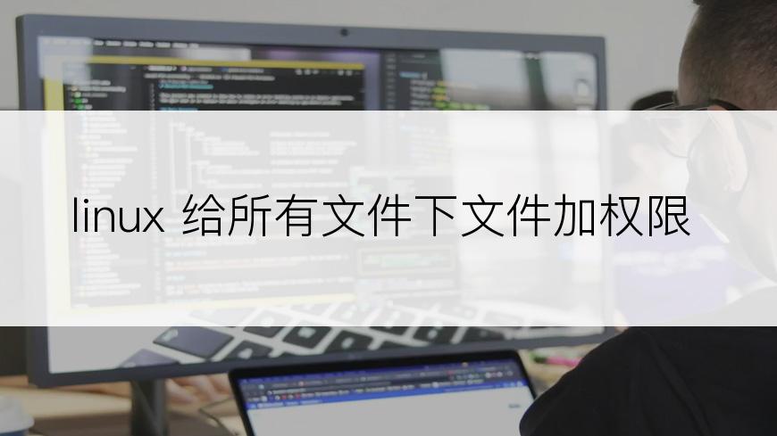 linux 给所有文件下文件加权限