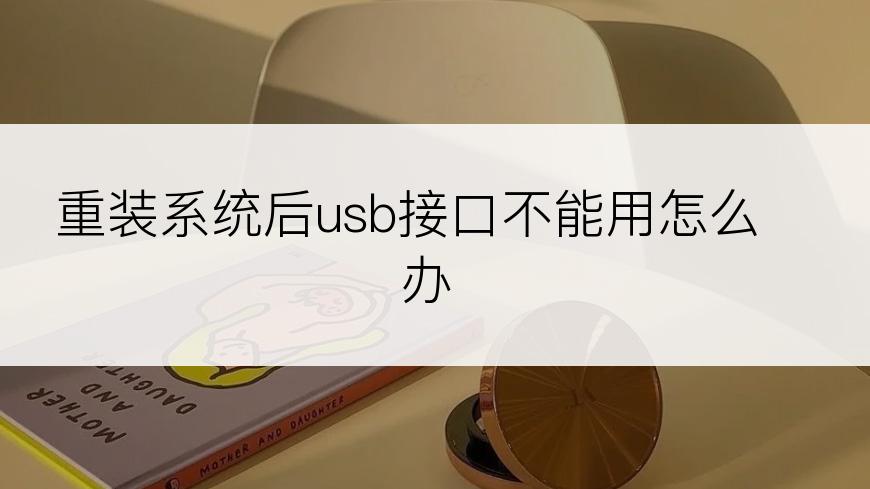 重装系统后usb接口不能用怎么办