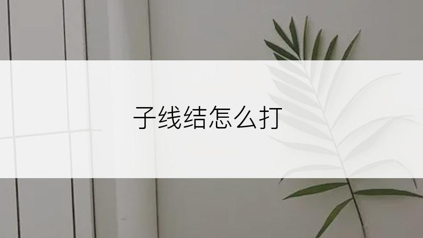 子线结怎么打