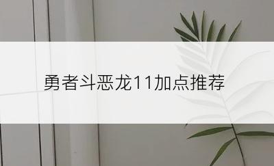 勇者斗恶龙11加点推荐