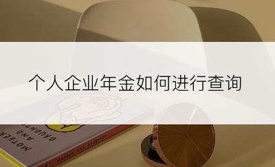 个人企业年金如何进行查询