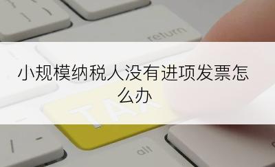 小规模纳税人没有进项发票怎么办