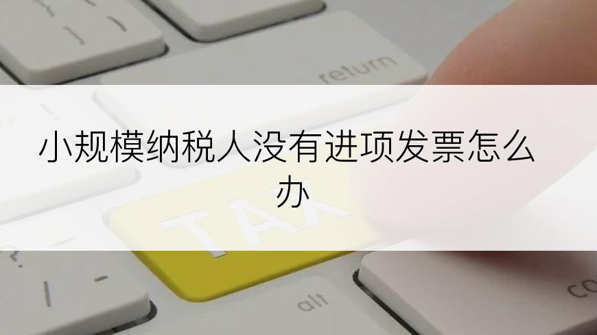 小规模纳税人没有进项发票怎么办