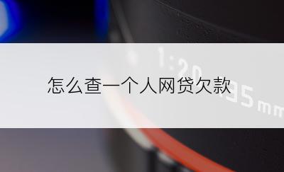 怎么查一个人网贷欠款