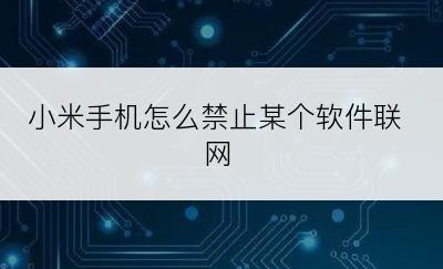 小米手机怎么禁止某个软件联网