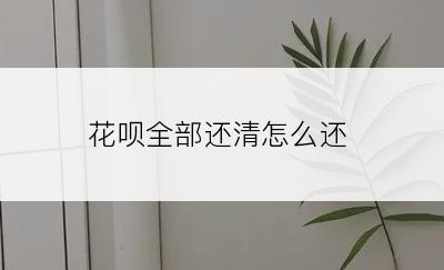 花呗全部还清怎么还
