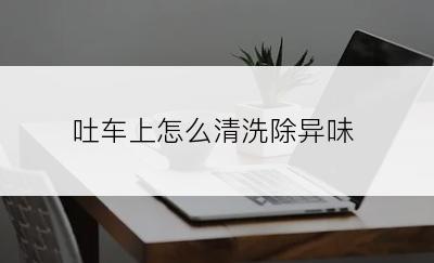 吐车上怎么清洗除异味