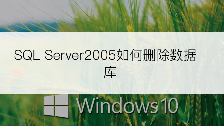 SQL Server2005如何删除数据库