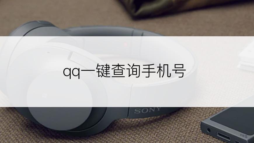 qq一键查询手机号