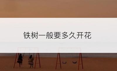 铁树一般要多久开花