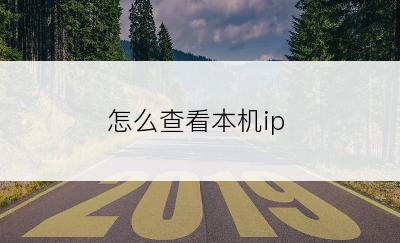 怎么查看本机ip