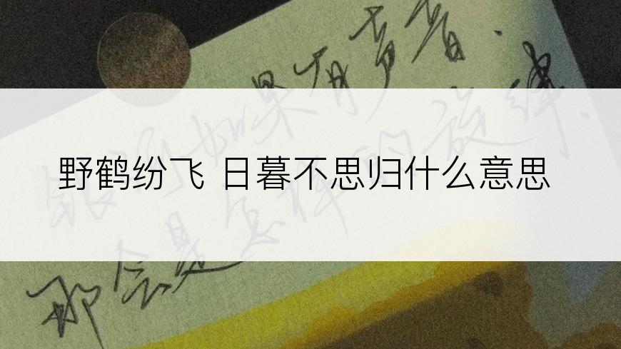 野鹤纷飞 日暮不思归什么意思