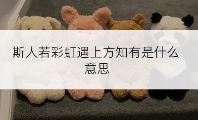 斯人若彩虹遇上方知有是什么意思