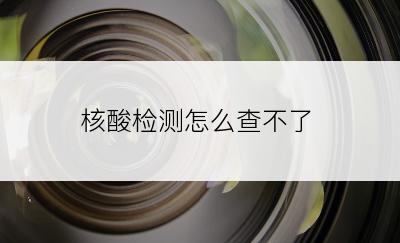 核酸检测怎么查不了