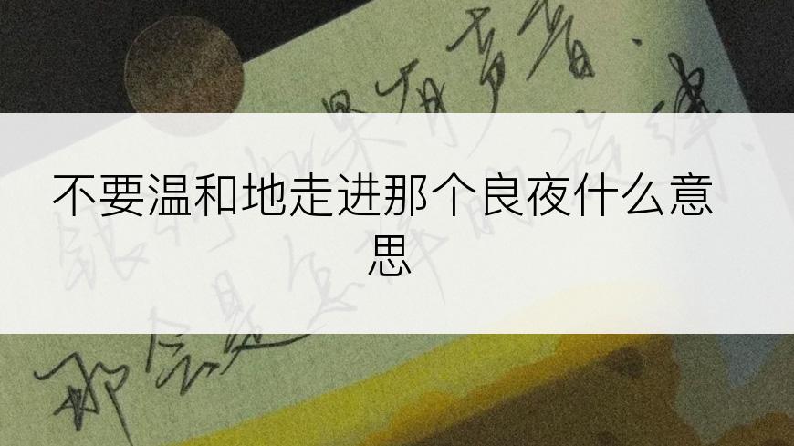 不要温和地走进那个良夜什么意思