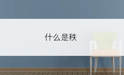 什么是秩