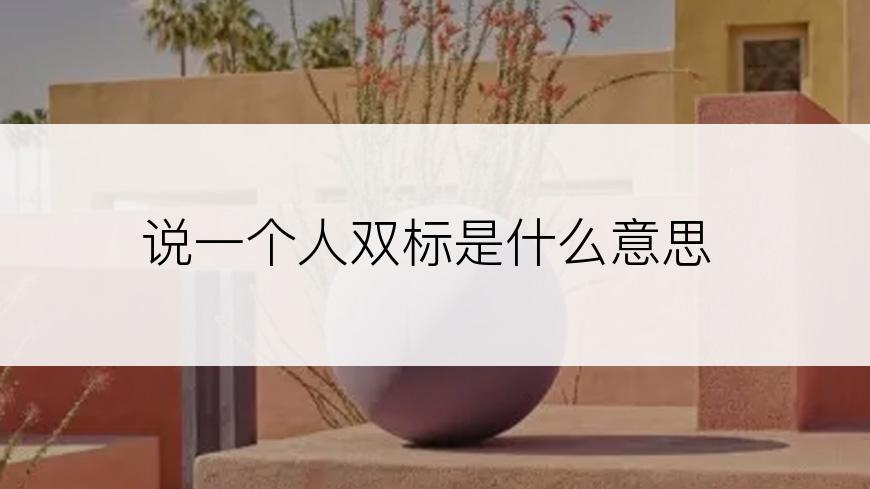说一个人双标是什么意思