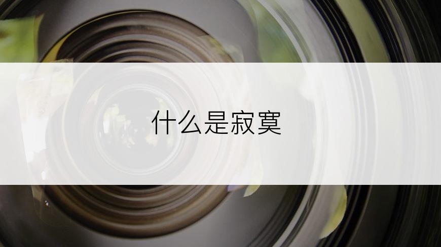 什么是寂寞
